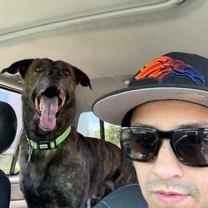 Meet your Posher, Benjamin